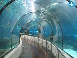 Barcelona Aquarium Barcelona Travel Underwater City Places To Visit