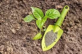 Too Much Potassium How To Treat High Potassium In Soils