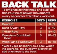 Build Massive Back Muscles With Arnolds Back Workout
