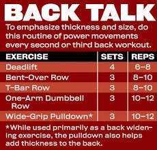 build massive back muscles with arnolds back workout