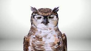 That's why we provide, fast, friendly and affordable eye care and eyewear at every stanton optical. The Best America S Best Contacts Eyeglasses Tv Commercials Ads In Hd Pag