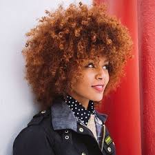 Cinnamon Colored Hair African American Google Search Cinnamon Hair Colors Natural Hair Styles Cinnamon Hair