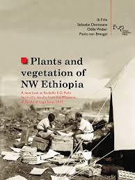 Image result for Oreophyton falcatum