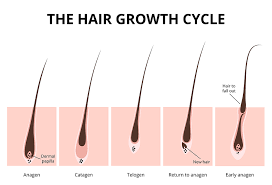 This information should not be seen as medical advice. Hair Loss Capri Hair Restoration