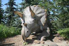Triceratops Free Stock Photo - Public Domain Pictures