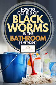 (i wouldn t notice except the toilet is often sluggish.) this is been occurring for about three weeks. How To Get Rid Of Black Worms In The Bathroom 4 Methods Home Decor Bliss