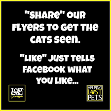 The aaha universal pet microchip lookup tool will not return pet owner information contained in the registries' databases since it is only a lookup tool. Pet Microchip Lookup By Name