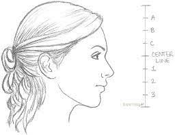 Draw a sphere to begin, it's easier than you may think! How To Draw A Female Face Side View Rapidfireart