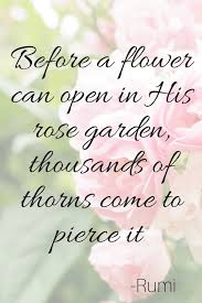 Image result for sufi quote on the soul