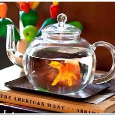 The Goldfish Bowl Diy Fish Tank Beta Fish Tank Betta Fish