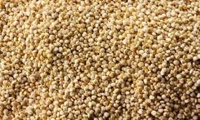 Fonio The Grain That Would Defeat Quinoa As King Among Foodies Fonio Grains Grain Foods