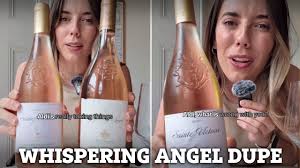 The 'most impressive sparkler' that's 'best new wine tasted', plus two  wonderful bottles from Lidl at 'giveaway price'