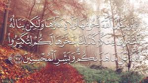 لن ينال الله لحومها ولا دماؤها ولكن يناله التقوى منكم الشيخ عبدالرزاق البدر Youtube