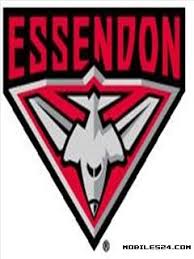 ** make sure you grab the original size when. Essendon Bombers Fc Free 240x320 Wallpaper Download Download Free Essendon Bombers Fc Hd 240x320 Wallpapers To Your Mobile Phone Or Tablet