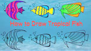 How to draw a porcupinefish. How To Draw Tropical Fish Step By Step Easy Drawing And Coloring For Kids Youtube