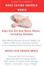 Dogs Eating Chicken Bones Raw Dog Food Recipes Dog Raw Diet Dog Food Recipes
