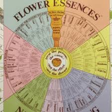 Bach Flower Essence Chart Yelp