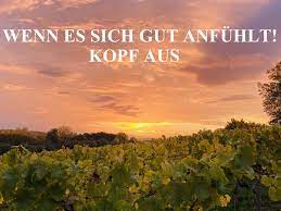 Ein Nordlicht Im Rheingau Macht Euch Ein Schones Wochenende Facebook