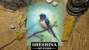 Shop our wide selection of quality pastels. How To Draw A Swallow With Soft Pastels Birds Paintingtube