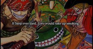 I Don T Know Why This Made Me Laugh Xd One Piece Theories Pieces Facts One Piece Funny
