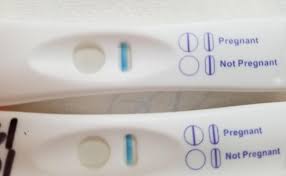 Cvs One Step Pregnancy Test Evaporation Line Pregnancy Test Otosection