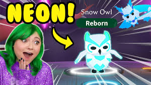In summer it may be nomadic, concentrating and at other times it takes a wide variety of prey, including birds as big as geese. Making A Legendary Neon Snow Owl Neon Frost Fury Dream Pet In Adopt Me Roblox Winter Update Youtube