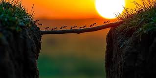 Image result for tbn:ekRZeqiUkU8b5M::www.hormiga.org/fondosescritorio/wallpapers/Paisajes-y-naturaleza/fotos/Paisajes-22.jpg