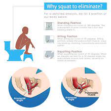 Squat-to-Eliminate | Aneros Community