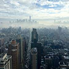 Your security programs may give warnings for some of the tools i will ask you to use. Abarb Pest Services Bergen Passaic Nj Pest Control