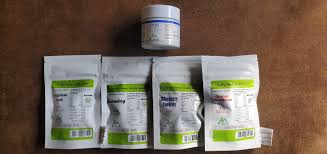 We did not find results for: Took A Drive Down To Berkshire Roots And Hit The Jackpot Bostontrees