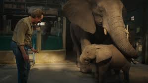 Like book 1, this one takes its vulnerable characters (and readers) through physically and mentally cruel conditions en route to a heartwarming how does the one an only bob compare with other dog autobiographies you've read, and how does bob's life compare with the ones described in. The One And Only Ivan 2020 Imdb