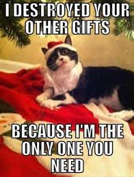 Christmas Funny Meme Dump 30 Pics Funny Cat Pictures Funny Cats Cats