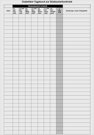 Erkläre mit hilfe von abb. Blutzucker Tabelle Vorlage 17 Erstaunlich Ebendiese Konnen Anpassen Fur Ihre Erstaunlichen Kreative Ideen Dillyhearts Com