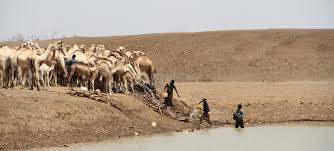 6 years ago6 years ago. Le Monde Doit Anticiper Les Effets Devastateurs De La Secheresse Par Une Meilleure Preparation Selon La Fao Onu Info