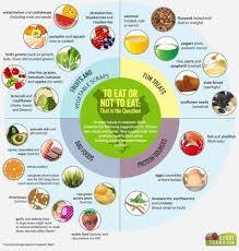 What To Feed Chickens And What Not To Feed Them Chicken Eating Chicken Feed Chicken Treats