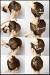 Short Hair Messy French Twist