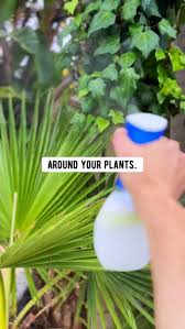 Wanda Bloomer (wbloomer66)