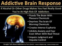 Spine may show signs of wear. Addiction It S All In Your Head And The Mind Is A Terrible Thing To Waste Thekennedyspot