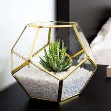 Moctus Gold Geometric Terrarium Great For Succulents Air Plants Cacti And Other Plants That Do Not Window Sill Decor Kitchen Window Sill Geometric Terrarium