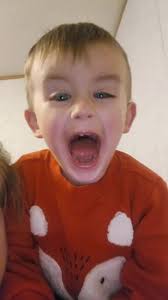 Ginger McCoy Wright (@gingermccoywright)