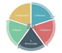 Steffens,1 kim peters,1 rosalie a. 5r Protocol Guthealth