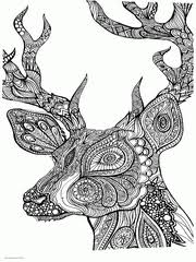 Printable deer coloring pages for adults huangfei info. 100 Animal Coloring Pages For Adults Difficult