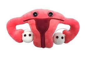 Stomach Uterus Plush Stuffed Animals Get Well Soon Gifts