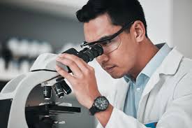 Hochberg-Miniaci Razor's Edge Research Scholars Program