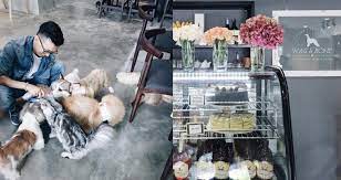 Top penang island shopping malls: Best Dog Friendly Places In Penang 2021 Top 13 Picks Pledgecare