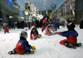 Ski Dubai Get The Detail Of Ski Dubai On Times Of India Travel