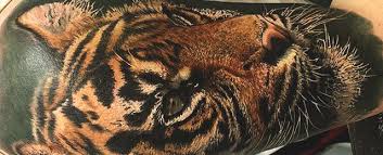 See more ideas about tiger tattoo, tiger tattoo small, tattoos. Top 101 Tiger Tattoo Ideas 2021 Inspiration Guide