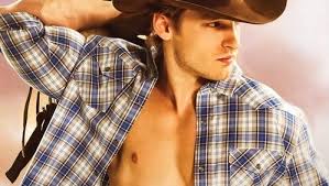 Excerpts: 'Slow Hand' and 'Rough Rider' by Victoria Vane