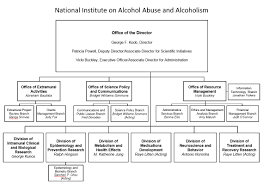 Org Chart National Institute On Alcohol Abuse And