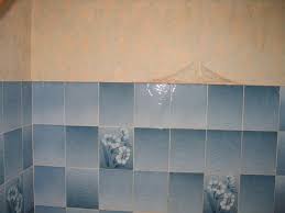 Check spelling or type a new query. Carrelage Mural Salle De Bain Forum Revetements Muraux Forum Systeme D